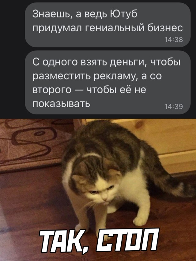 Подборка картинок. Вечерний выпуск  приколы,смешные картинки,юмор