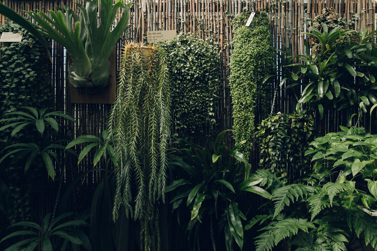 «Дуэт фотографов путешествует по миру, снимая ботанические сады, оранжереи и теплицы 18