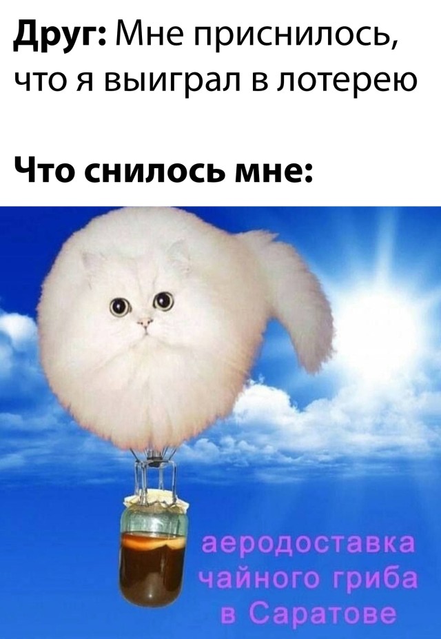 Подборка прикольных картинок  приколы,смешные картинки,юмор