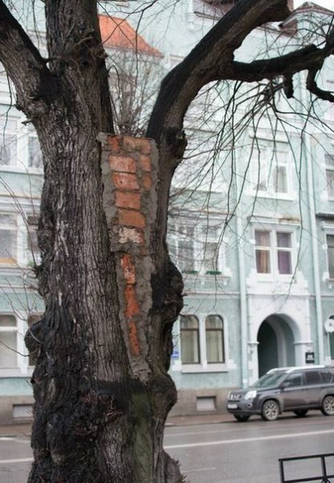 Россия - страна чудес! Россия - страна чудес! приколы,смешные картинки,юмор