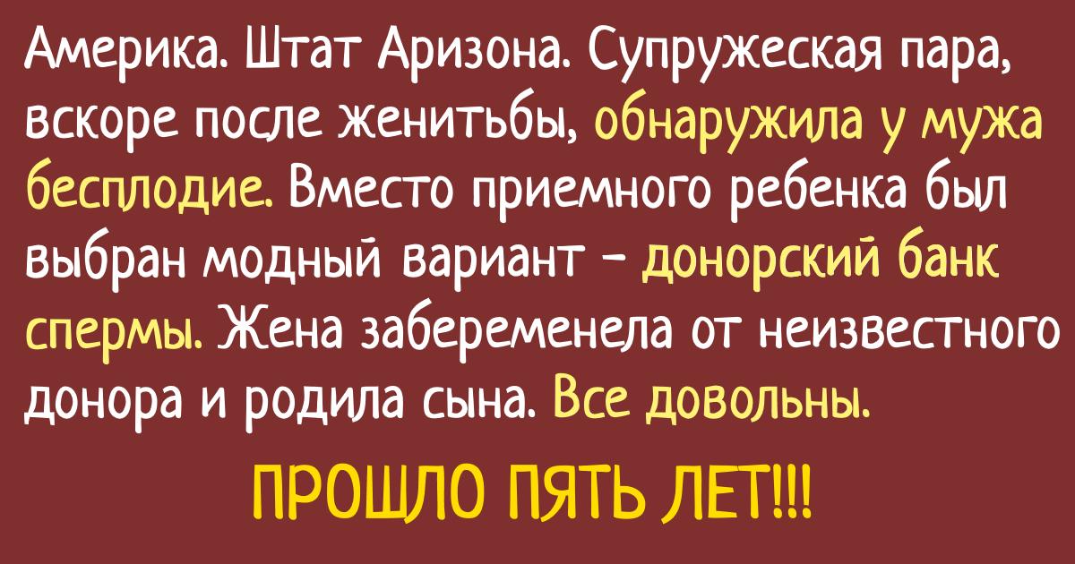 Закон есть закон. Как одна хитрая дура загубила жизнь человеку! Дети