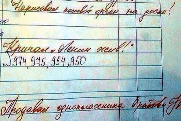 Насыщенная школьная жизнь. Насыщенная школьная жизнь.