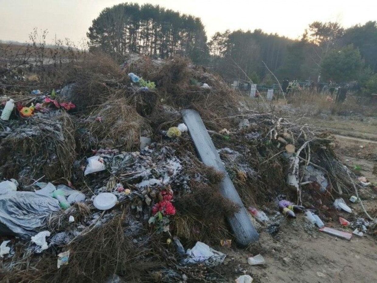 В Брянской области власти за год не убрали свалку, на которую жители пожаловались президенту