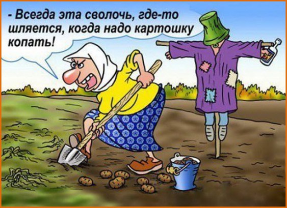 Копаем картошку