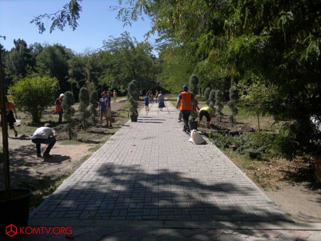 В Гагаринском парке Симферополя высадили голландские растения