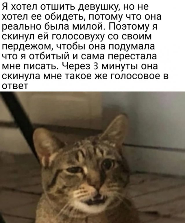 Жесткий и черный юмор Жесткий и черный юмор смешные картинки,фото-приколы,юмор