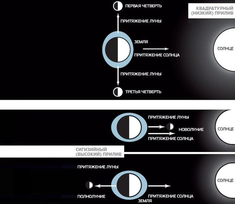Какое притяжение луны. Фаза Луны первая четверть. Таблица истории изучения Луны. Исследование Луны. Приливы первая четверть фазы Луны.
