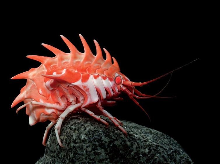 Мир без фотошопа. Удивительное зрелище! Мир без фотошопа. Удивительное зрелище! мир