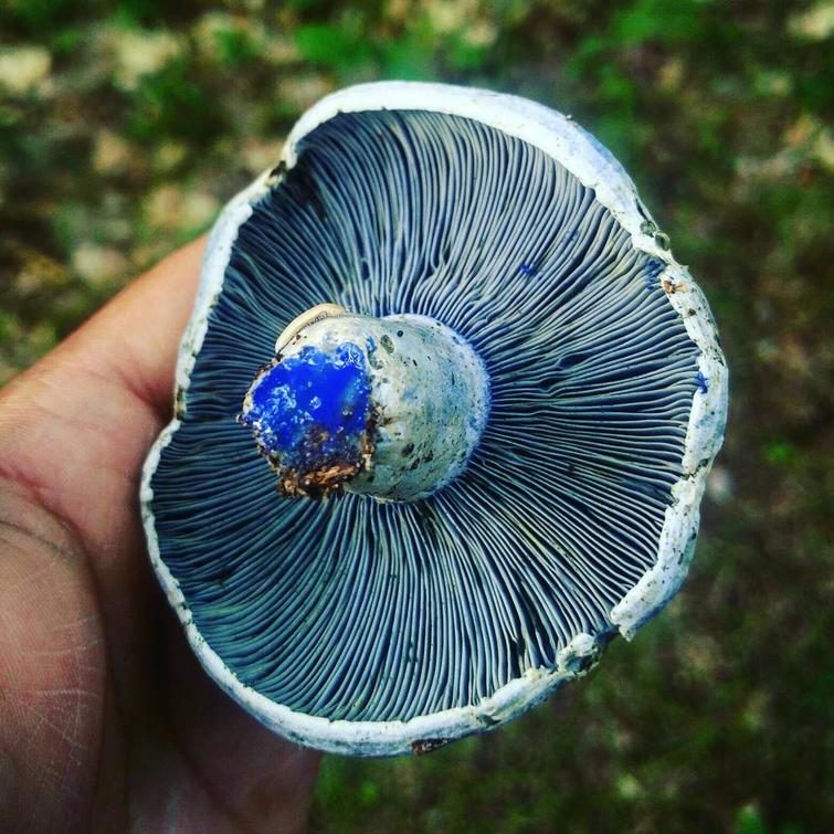 Мир без фотошопа. Удивительное зрелище! Мир без фотошопа. Удивительное зрелище! мир