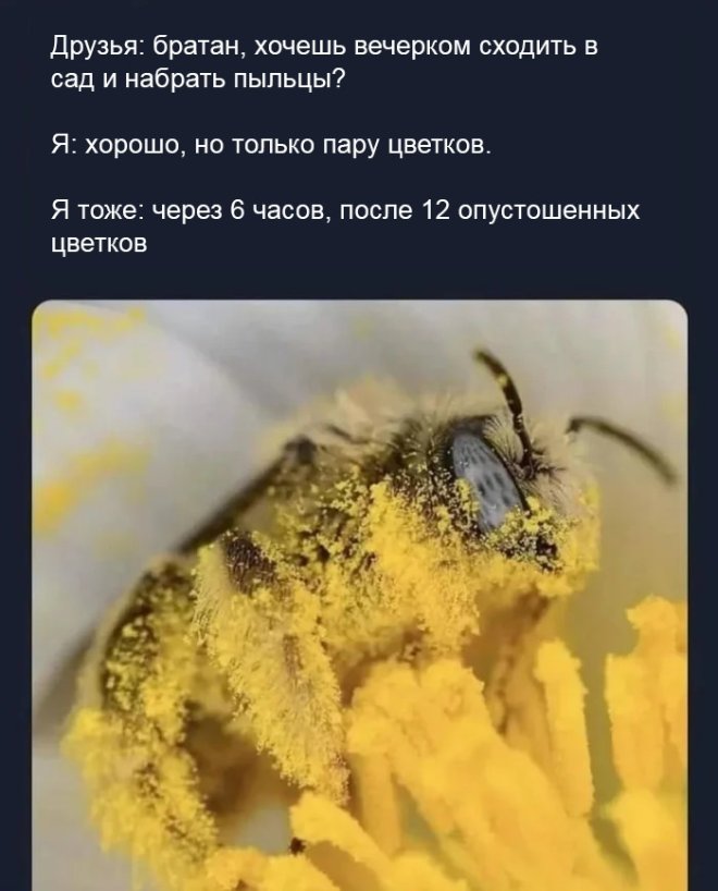 Юмор за день и Изольда 