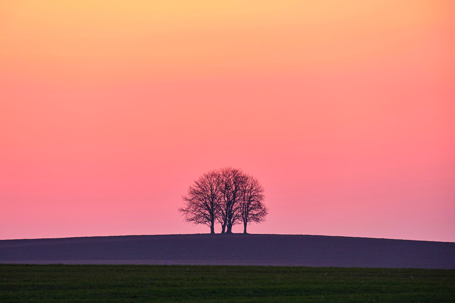 Before sunrise by Richi Komlosi on 500px.com