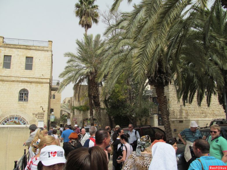 Израиль — страна-пустыня? Нет, страна-сад! Израиль — страна-пустыня? Нет, страна-сад!