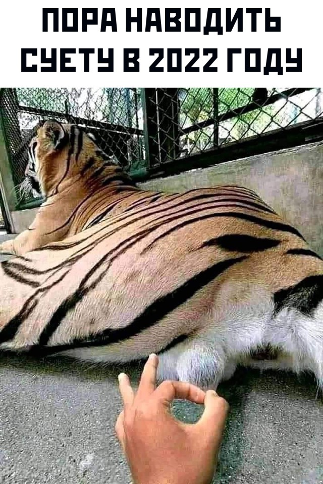 Подборка прикольных картинок  приколы,смешные картинки,юмор