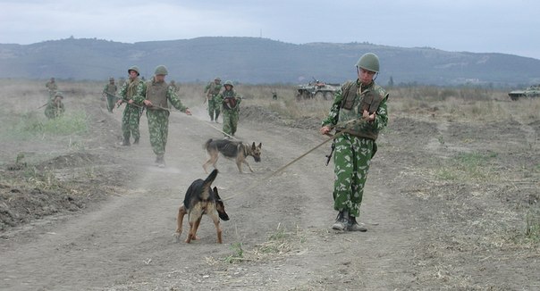 Советы участников боевых действий