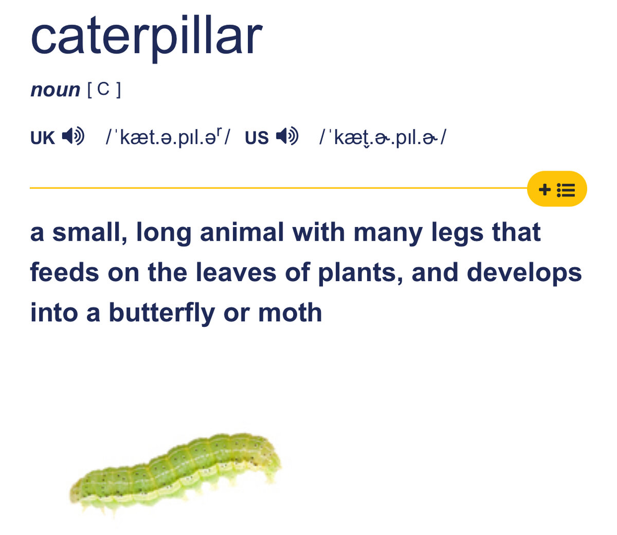 Как переводятся названия известных брендов Caterpillar, Amazon и Ritter Sport?