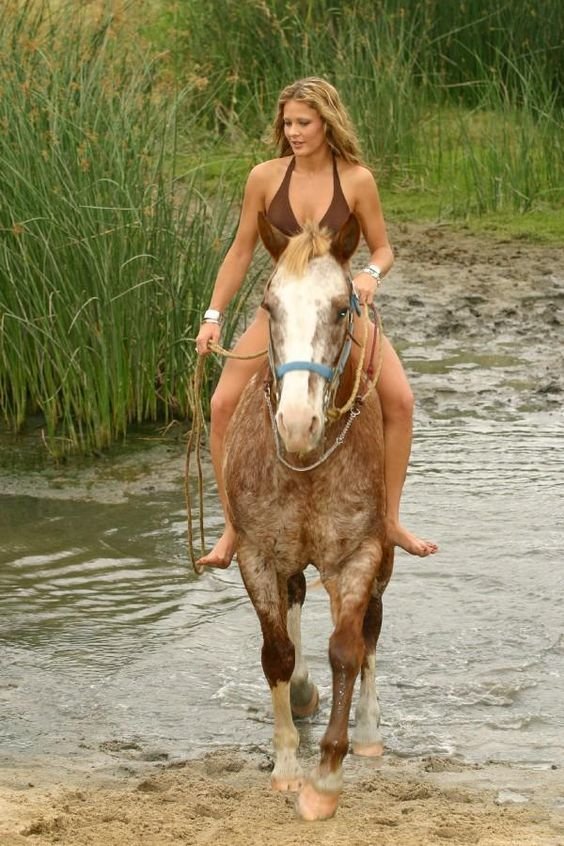 Прекрасные наездницы амазонки, красиво, лошади и девушки, наездницы