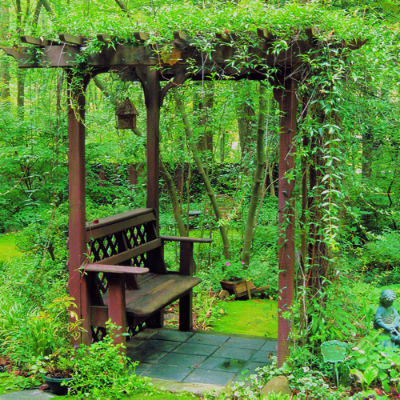 wild-garden-inspiration-liana3.jpg wild-garden-inspiration-liana3.jpg