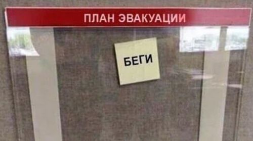 Время года в России можно определять по салату Оливье: с майонезом - зима, с квасом - лето кассе, нерабочим, декабря, будет, магазине, племени, какой, такие, вертолет, только, улицы, заходят, мальчик, восьми, Прессконференция, который, несет, игрушечный, прямо, Сразу