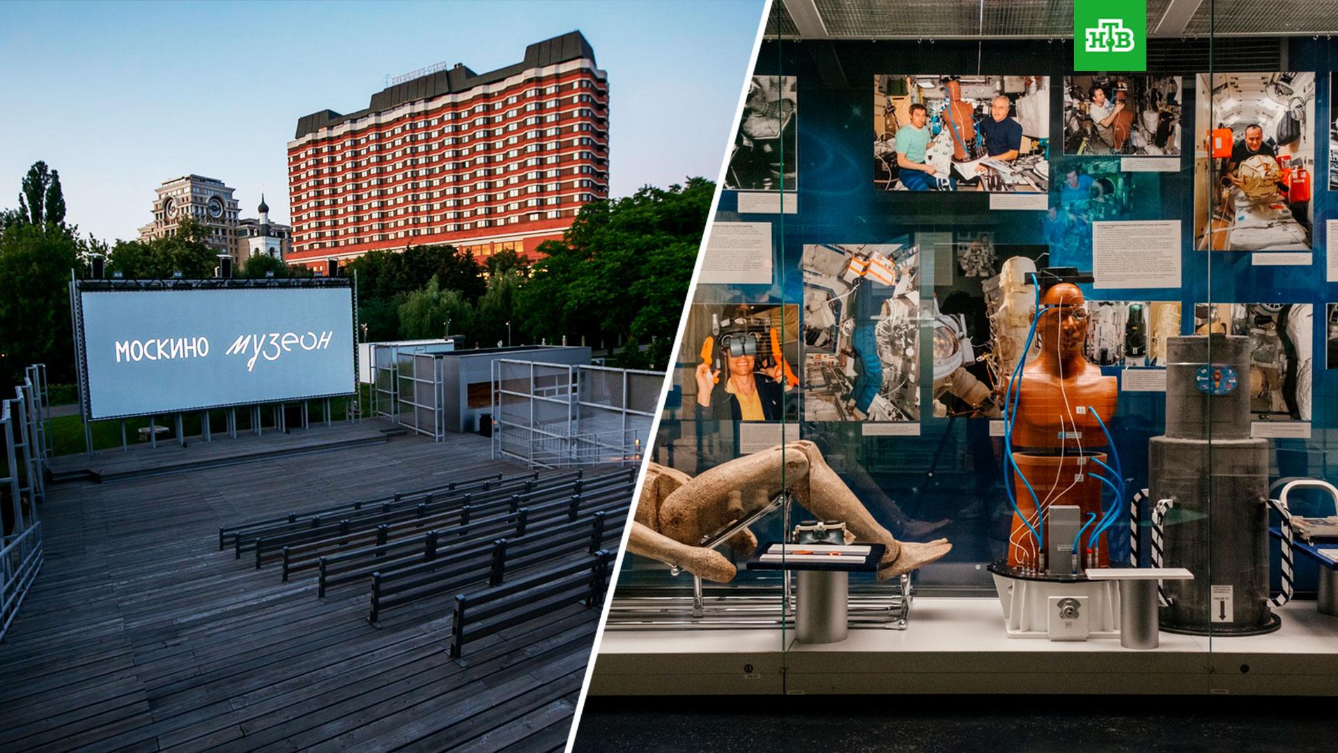 Куда сходить компанией. Куда сходить 25 сентября в москве. 11 сентября день города москвы фотоотчет. Каток вднх 2022-2023. Куда сходить в москве.