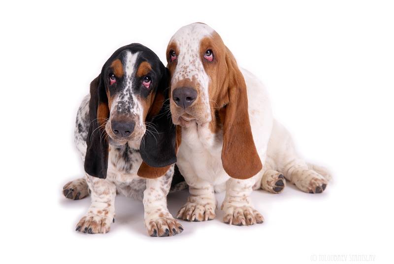 А у вас в доме случались необъяснимые истории?