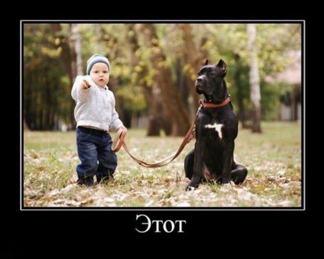 Подборка веселых и смешных демотиваторов из нашей жизни 