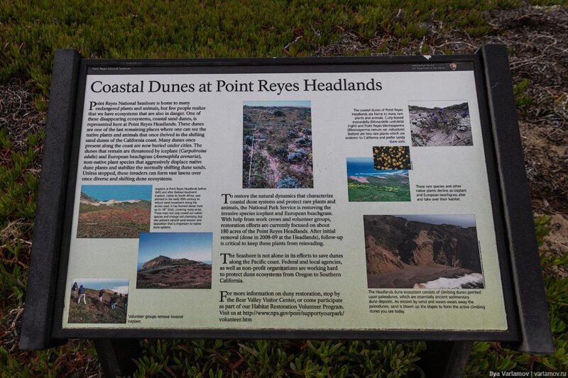 Как американцы любят природу. Путевые заметки заграница,поездка,путешествие,страны,туризм