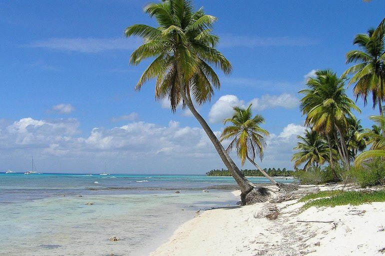 Доминиканская Республика — страна, которая сводит с ума! остров, Саона, Остров, туристов, является, возможность, чтобы, частью, своих, увидеть, Доминиканской, Республике, которого, часто, место, который, Доминиканская, парка, тропический, уголок