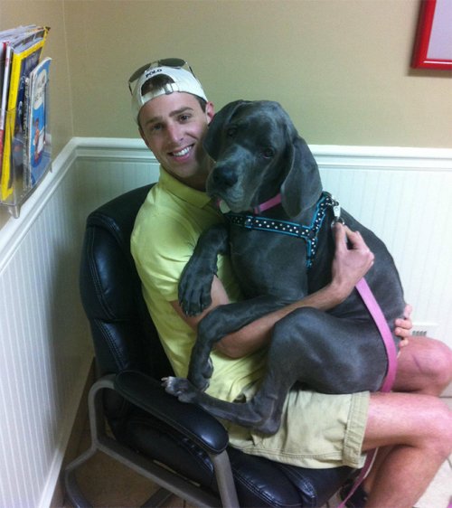 20 драматических фотографий с собаками, которых привезли к ветеринару 