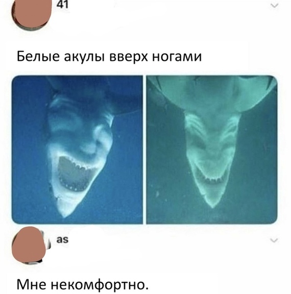 Подборка фото приколов и картинок из сети Подборка фото приколов и картинок из сети красивые фотографии,приколы,смешные картинки,юмор