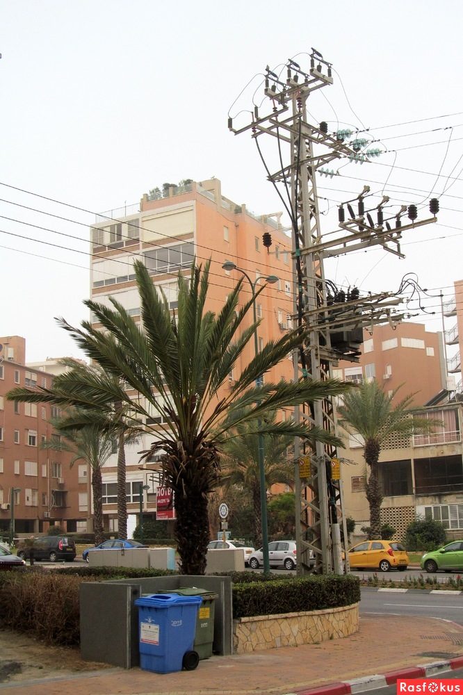 Израиль — страна-пустыня? Нет, страна-сад! Израиль — страна-пустыня? Нет, страна-сад!