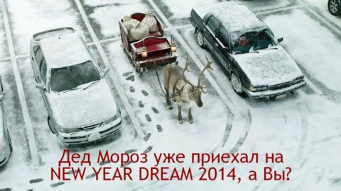 Ждем вас на NEW YEAR DREAM 2014!