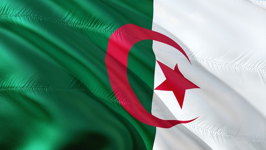 Глава МИД Алжира обсудил в Нигере соглашение по безопасности границ Весь мир