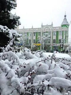 Зимний Краснодар Фото.
