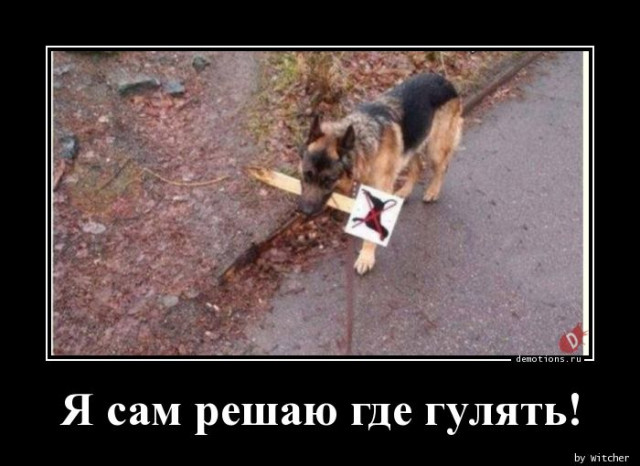 Демотиваторы прикольные для всех: «Фитотерапия» 