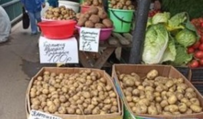 Это запредельно: «золотые овощи» тревожат жителей Владивостока
