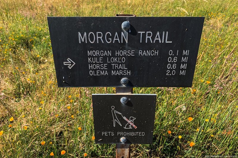 Как американцы любят природу. Путевые заметки заграница,поездка,путешествие,страны,туризм