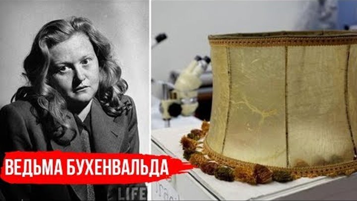 (إلى الأمام, إلى الغرب (إلى الأمام, إلى الغرب геополитика