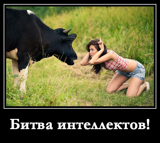 Веселые и забавные демотиваторы на выходные Веселые и забавные демотиваторы на выходные