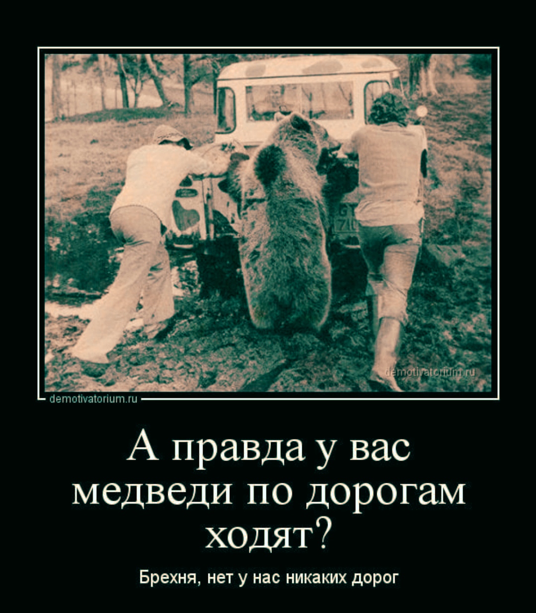 Подборка смешных картинок для хорошего настроения! Подборка смешных картинок для хорошего настроения!