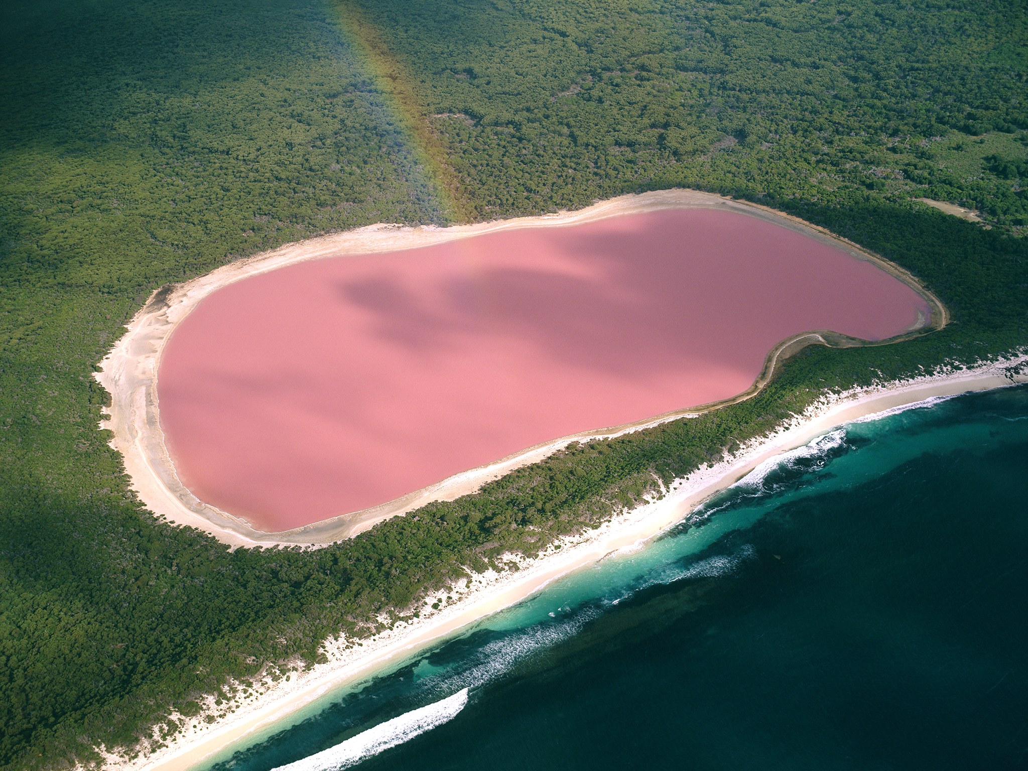В австралии есть озера. Озеро Хиллер (остров Миддл). Озеро Ретба Сенегал. Розовое озеро Хиллер Австралия. Озеро Хиллиер, Западная Австралия.