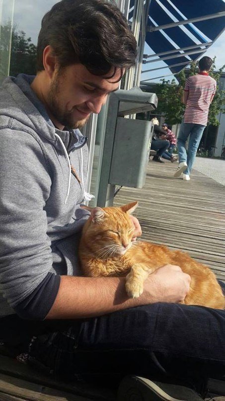 Котик приходит в универ каждый день спасать студентов обнимашками картинки, котики, котэ