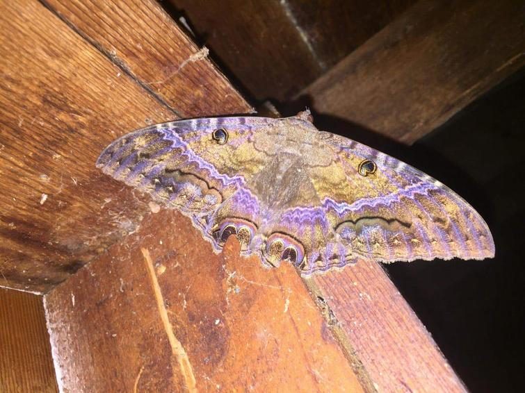 Мир без фотошопа. Удивительное зрелище! Мир без фотошопа. Удивительное зрелище! мир