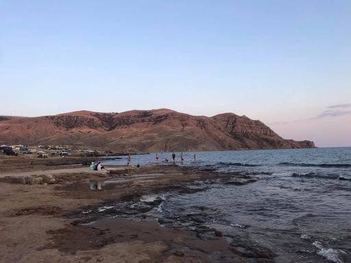 Ультиматум Путину или мышиный писк? Ультиматум Путину или мышиный писк? общество,политика,Путин,россияне