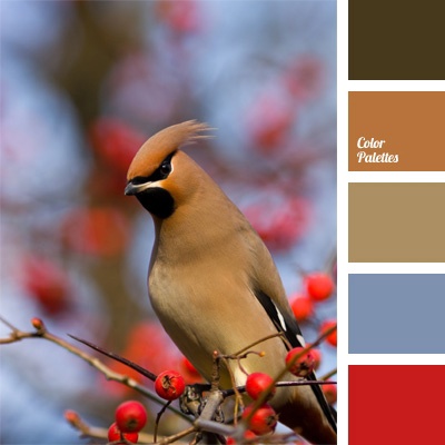 Цветовые палитры для дизайна интерьера от Color Palettes: птицы 