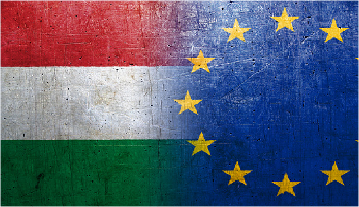 Левым из Европарламента не нравится миролюбие Венгрии — глава Минюста