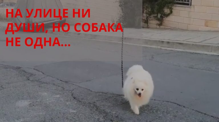 BeFunky-collage (90)