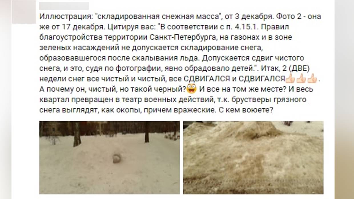 Жители Петербурга сравнили ситуацию со снегом в Петродворцовом районе с военными действиями
