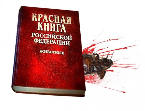 Кто вычёркивает редких животных из Красной книги России?