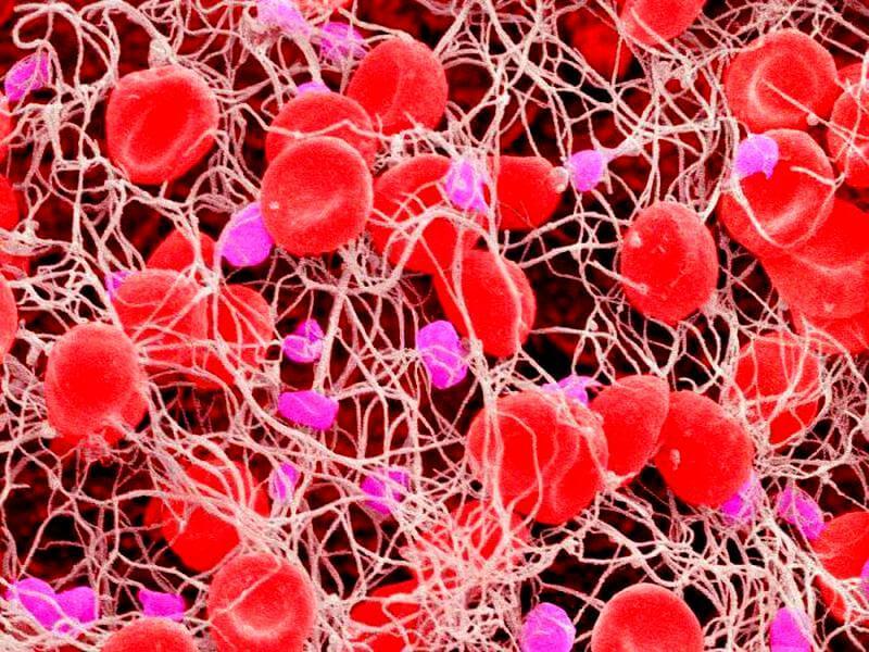 9 главных показателей крови, которые расскажут о здоровье анализы, здоровье, кровь
