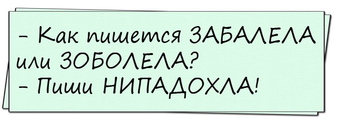 Картинка как писать выздоровела или выздоровила пиши нипадохла